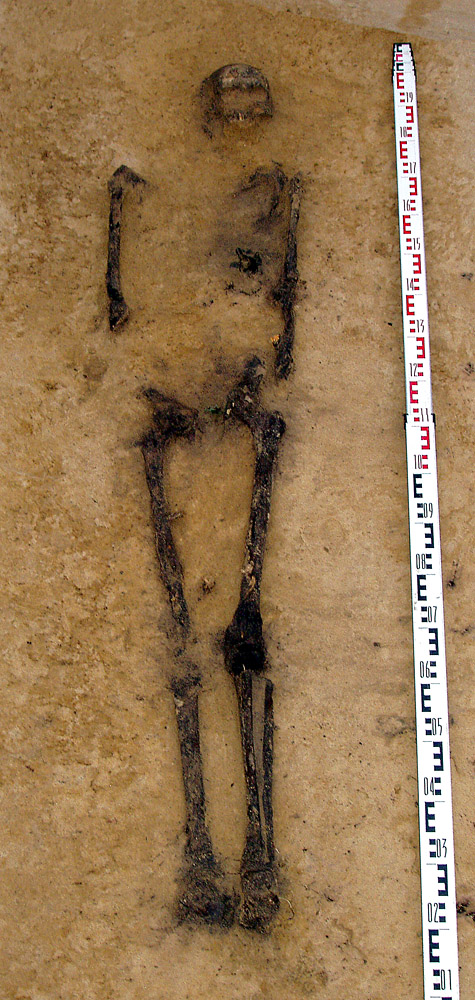 Fig.4 – Szkielet mężczyzny zmarłego w wieku około 60 lat z początków III w. AD. Fot. A. Cieśliński & A. Kasprzak