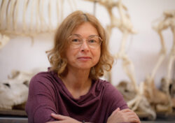 dr hab. Joanna Piątkowska-Małecka Joanna Piątkowska-Małecka