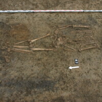 Grób komorowy (nr 47) odkryty w 2009 roku. Fot. Z. Ratajczyk / Chamber grave (no 47) unearthed in 2009. Photo Z. Ratajczyk