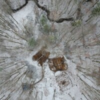 Stanowisko w zimowej scenerii. Fot. Sławomir Wadyl / Site in the winter scenery. Photo Sławomir Wadyl