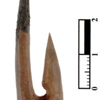Dudka, haczyk kościany z przyponem z łyka wierzby, wczesny mezolit, fot. W. Gumiński, 1998 r.